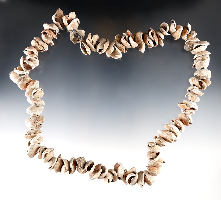 Very unique 24" long strand necklace made from drilled shells found in Colusa Co., California.