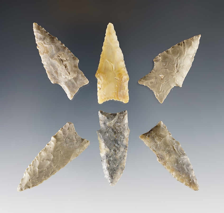 Group of six Darl points found in Texas in a nice condition. Largest is 1 5/8".