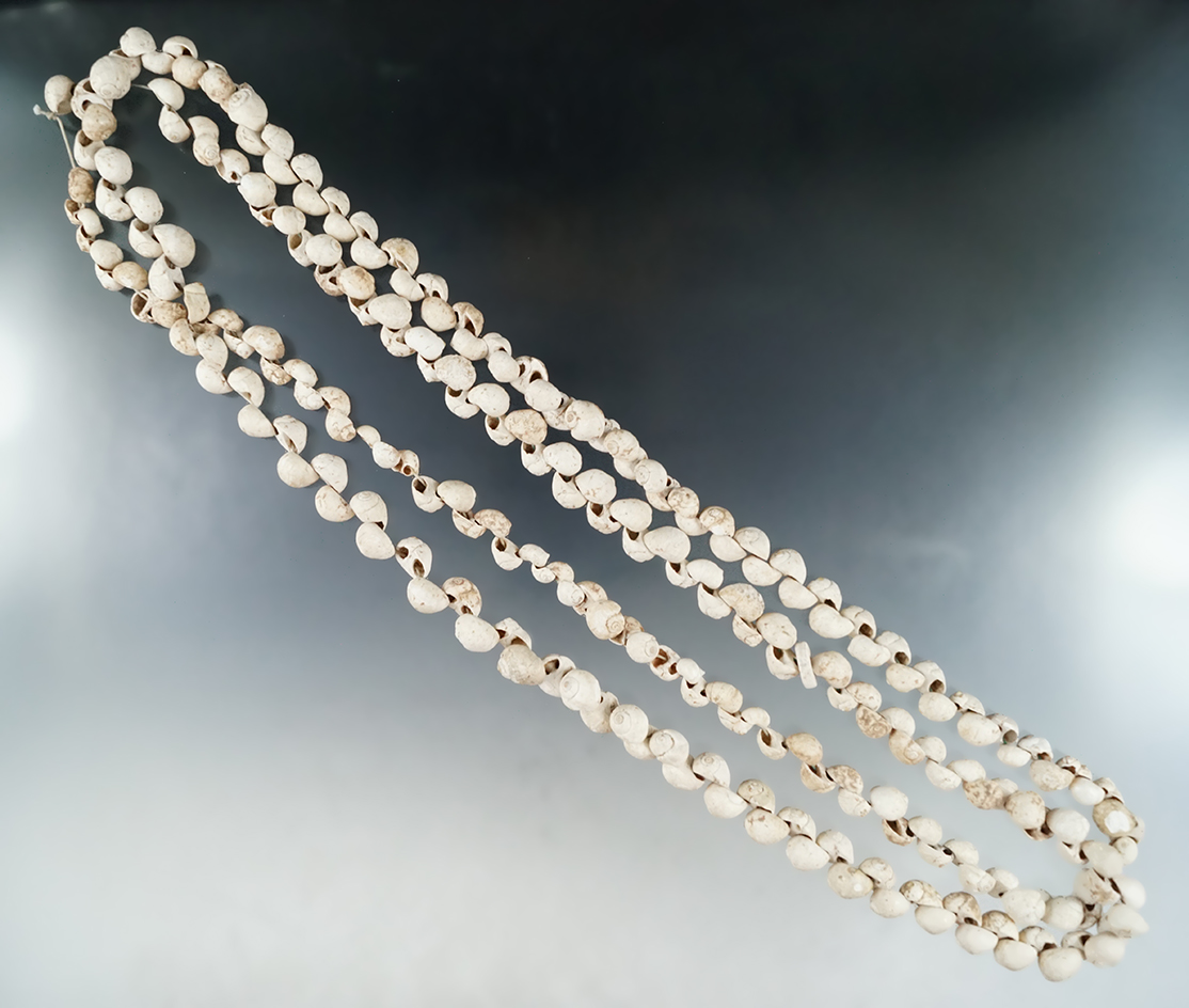 Very large strand of drilled snail shell beads found in Union Co., Illinois. Ex. Richard Shively col