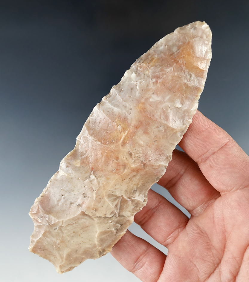 Large 5" Savannah River Knife found in Levy Co., Florida.