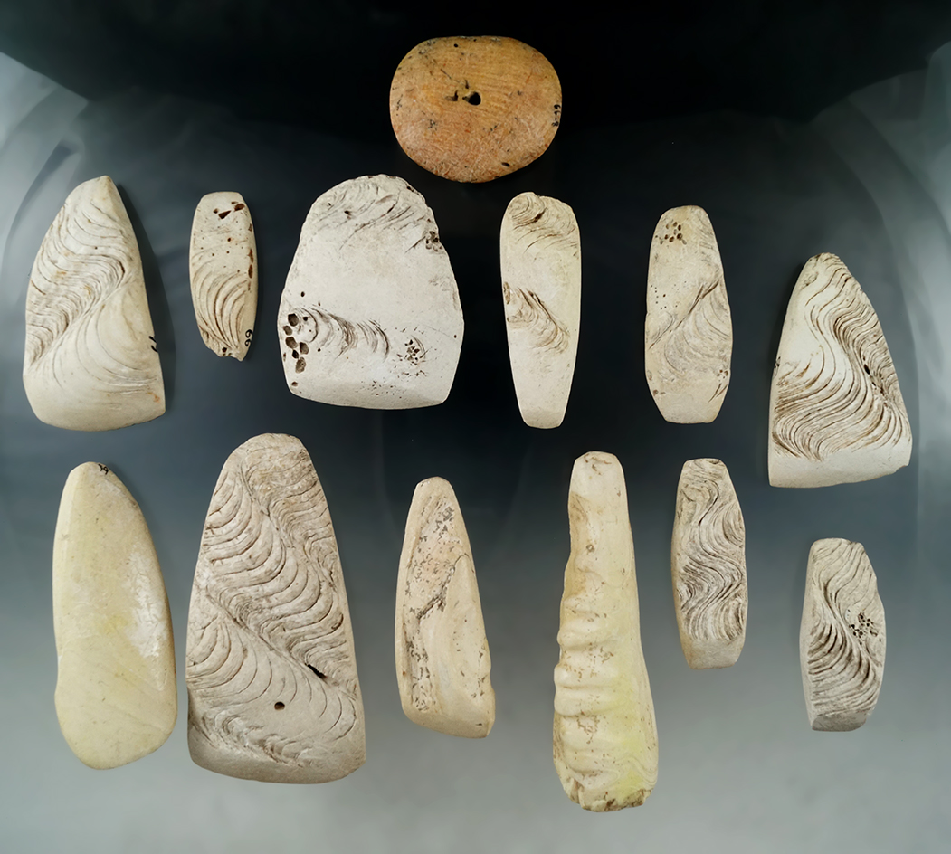 Set of 13 aboriginal shell tools collected on the shores of the island of Guam by a G. I. During WWI