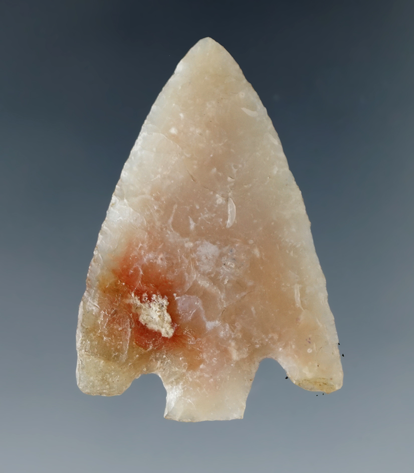 Highly translucent 1 3/4" well styled Culbreath point found in Hillsborough Co., Florida.