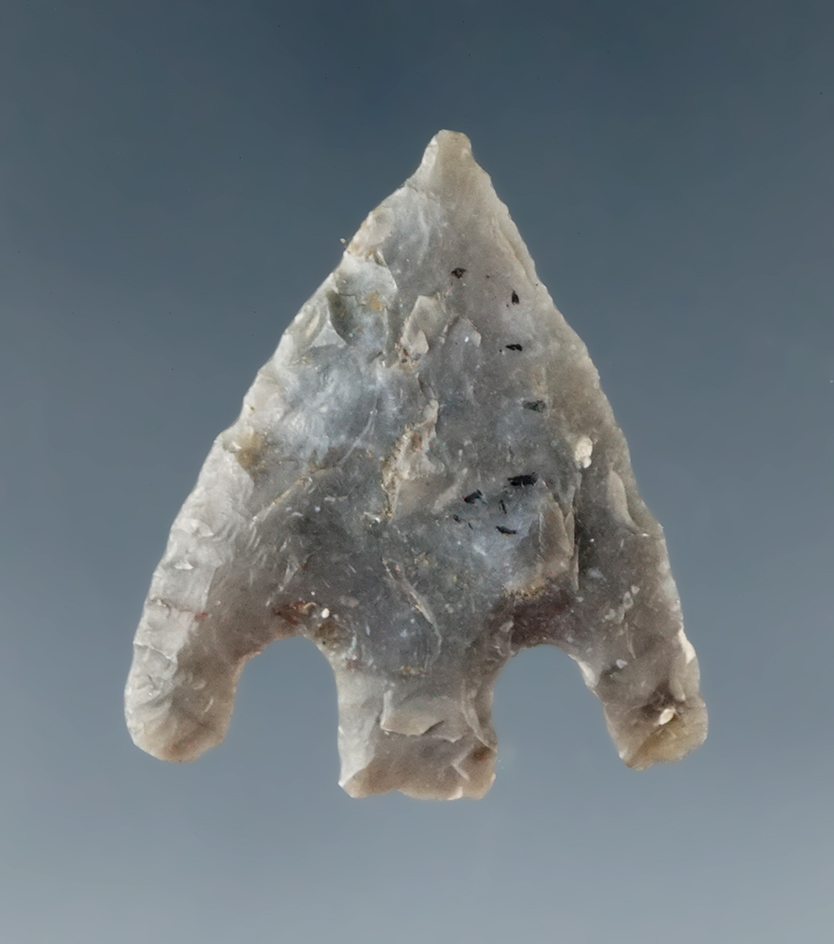 1" Stemmed/basal Notch Neolithic arrowhead found near Suffolk, England. Ex. William Moreno.