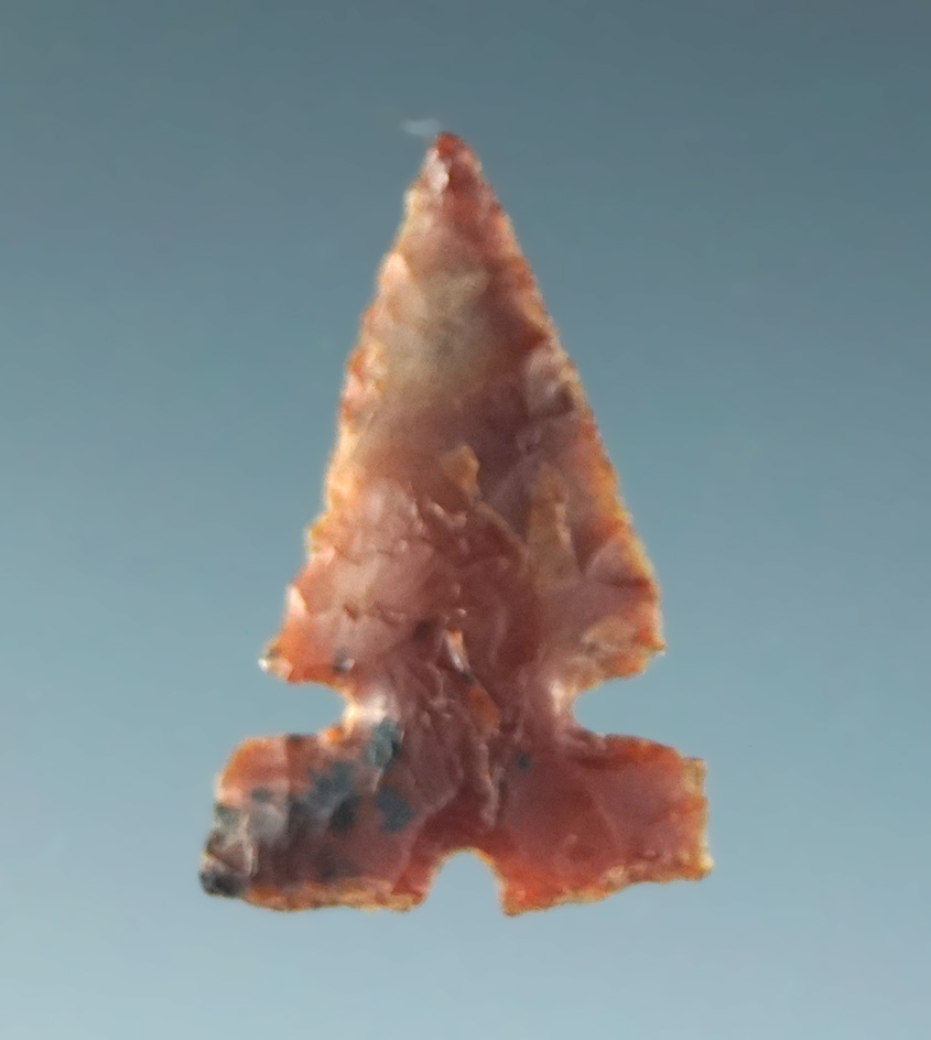 11/16" Desert Sierra that is very thin. Made from a flake of black and red Flint.  California.