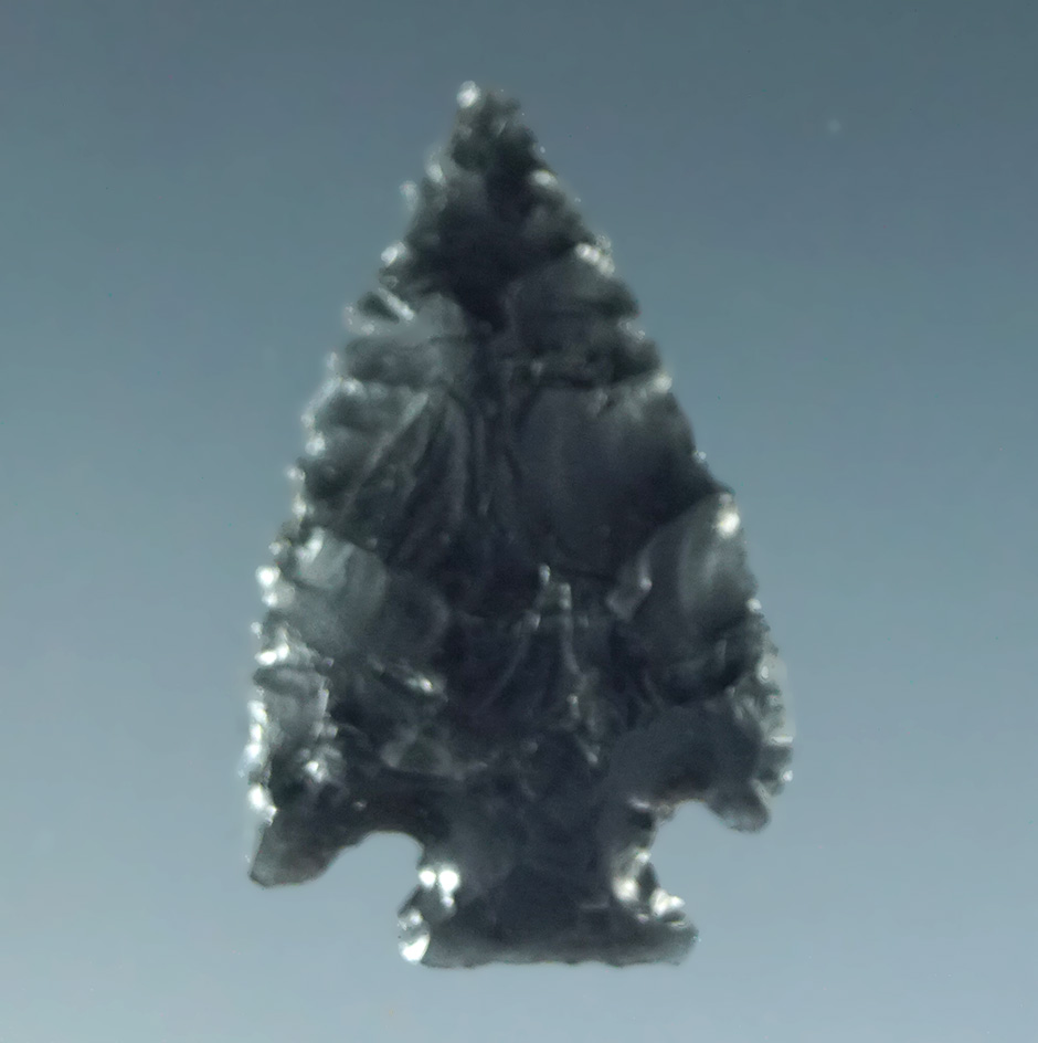 7/8" Stemmed point that is beautifully flaked from obsidian. California.