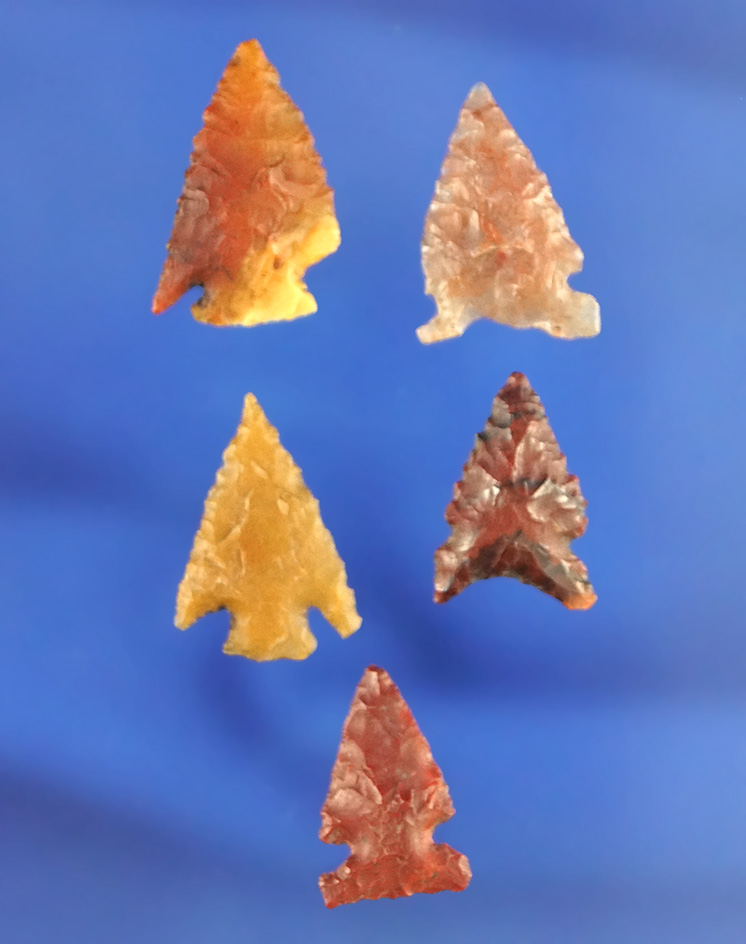 Set of five assorted Gempoints, largest is 3/4". California.