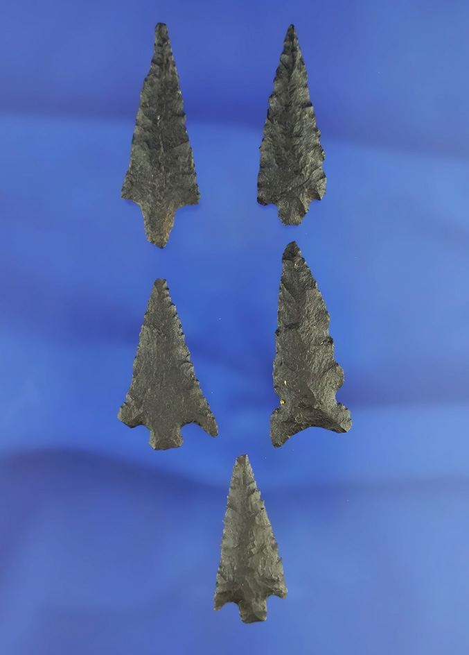 Set of five well-crafted arrowheads made from basalt, largest is 1 1/2". California.