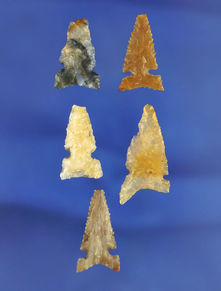 Set of five assorted arrowheads in various conditions, largest is 1 1/16". California.