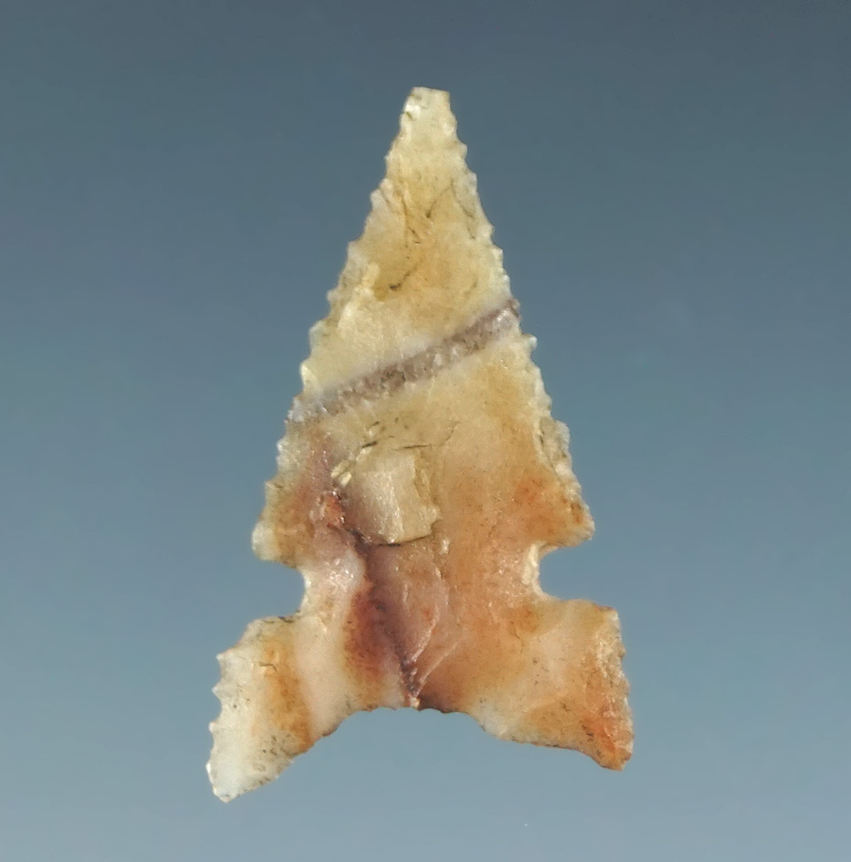 3/4"  Desert Delta that is very well flaked and nicely styled with excellent serrations. CA.