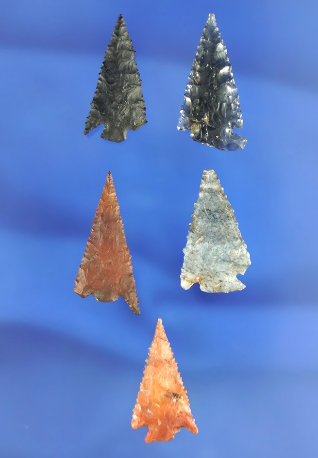 Set of five assorted arrowheads, largest is 1 1/16". California.
