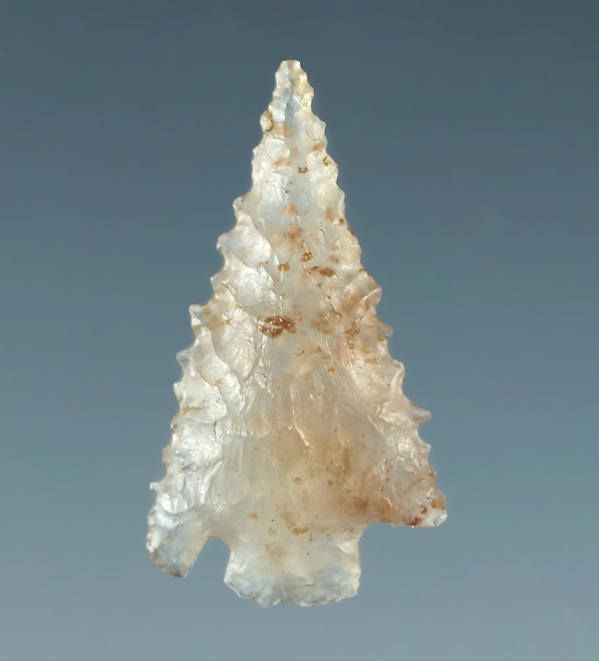 Exquisite serrations on this beautifully translucent 3/4" Cornernotch California.