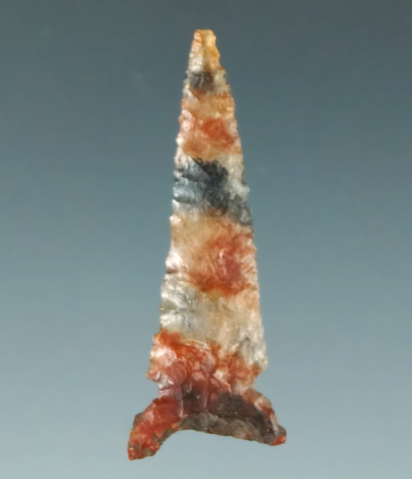 Material! 1 3/8" Desert Delta "Fox Ear" - beautiful red white and blue translucent agate CA.