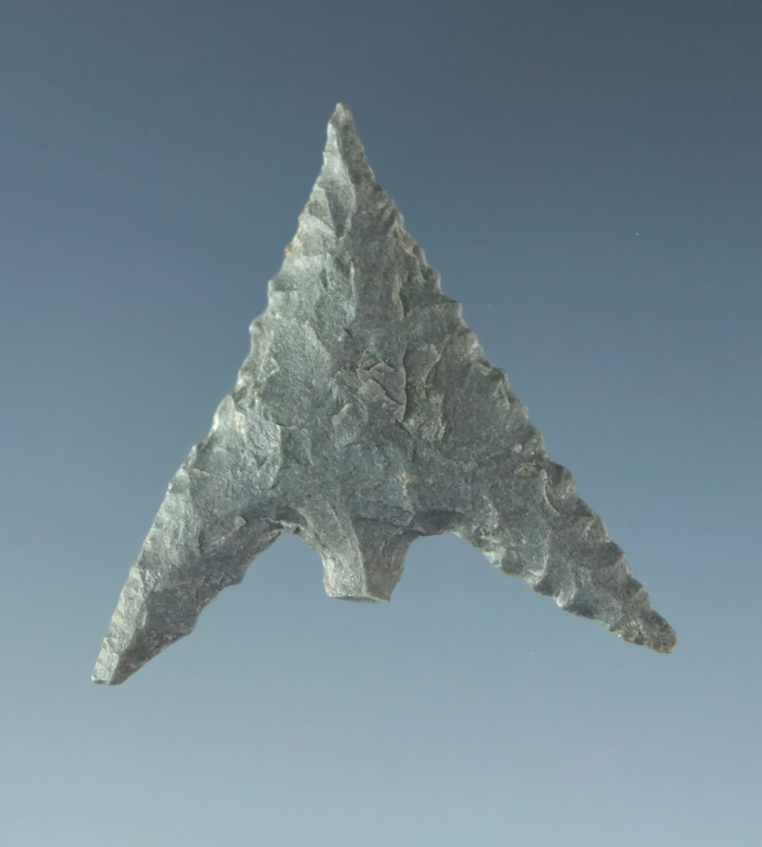 7/8" Gunther California.