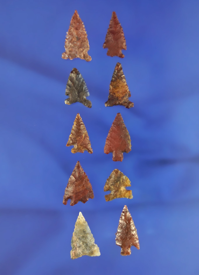 Excellent selection of 10 assorted arrowheads found in northern California.