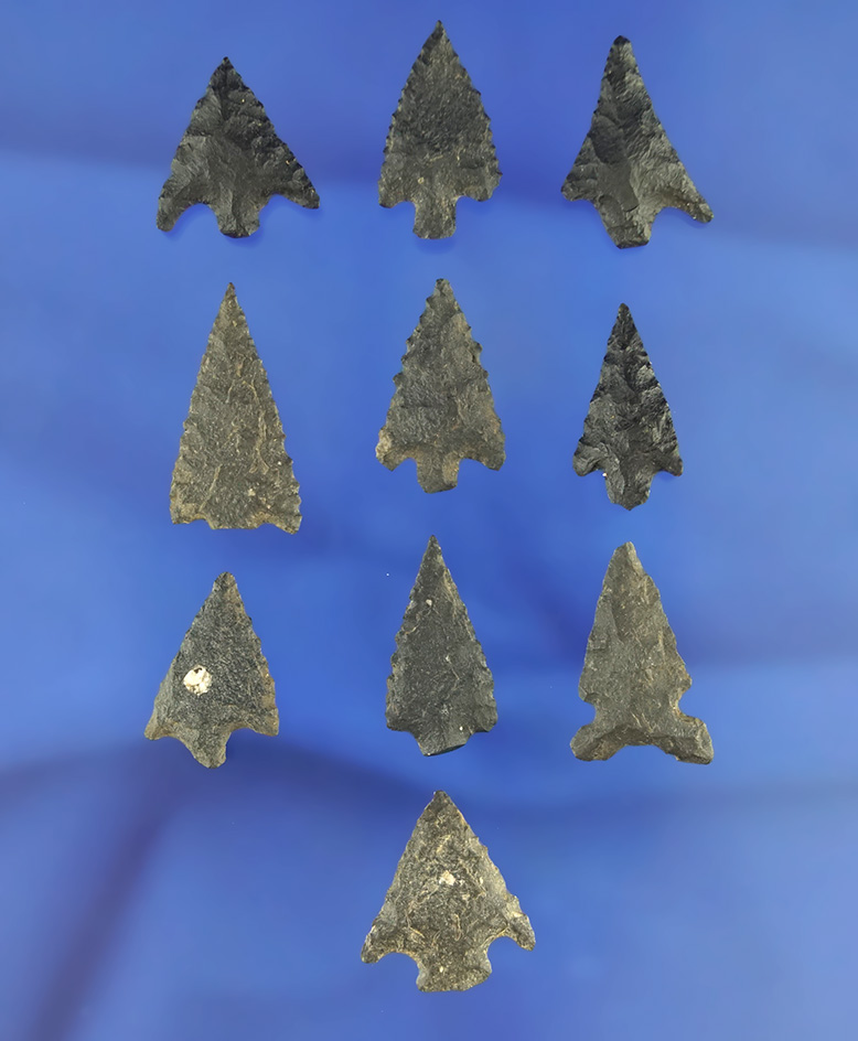 Large group of 10 assorted basalt arrowheads, largest is 1". California.