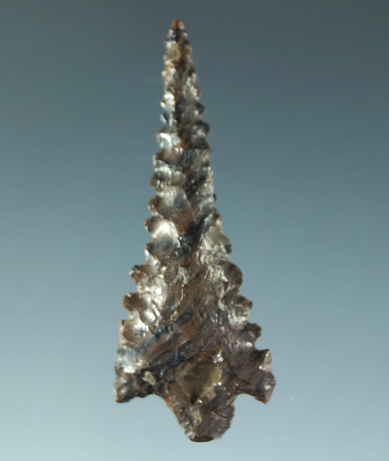 1 3/8" mahogany obsidian stemmed point with a curve to the blade - excellent serrations. CA.