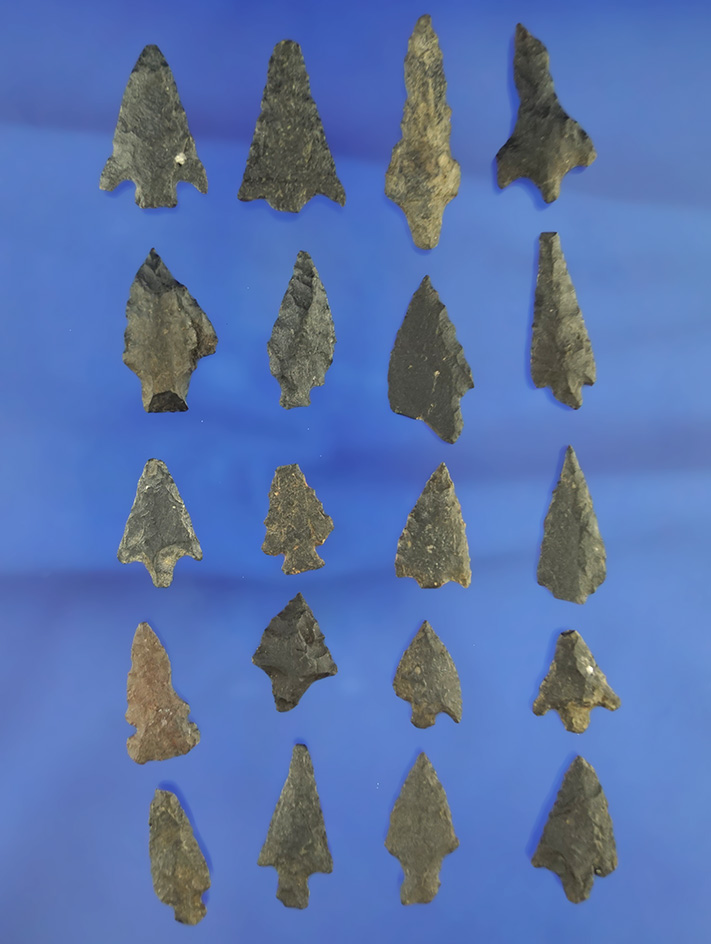 Set of 20 assorted arrowheads found in northern California, largest is 1 1/8".