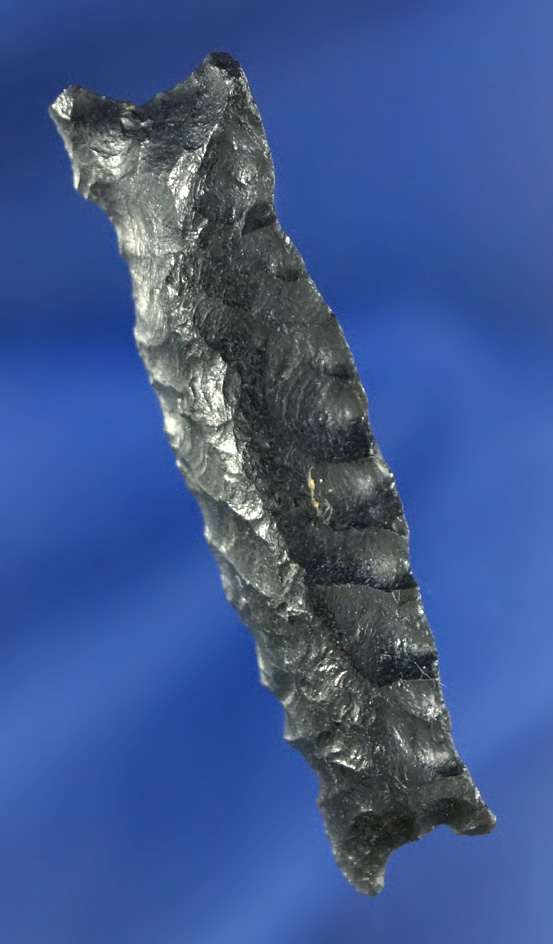 Very unique Obsidian eccentric or snare catch found in Oregon