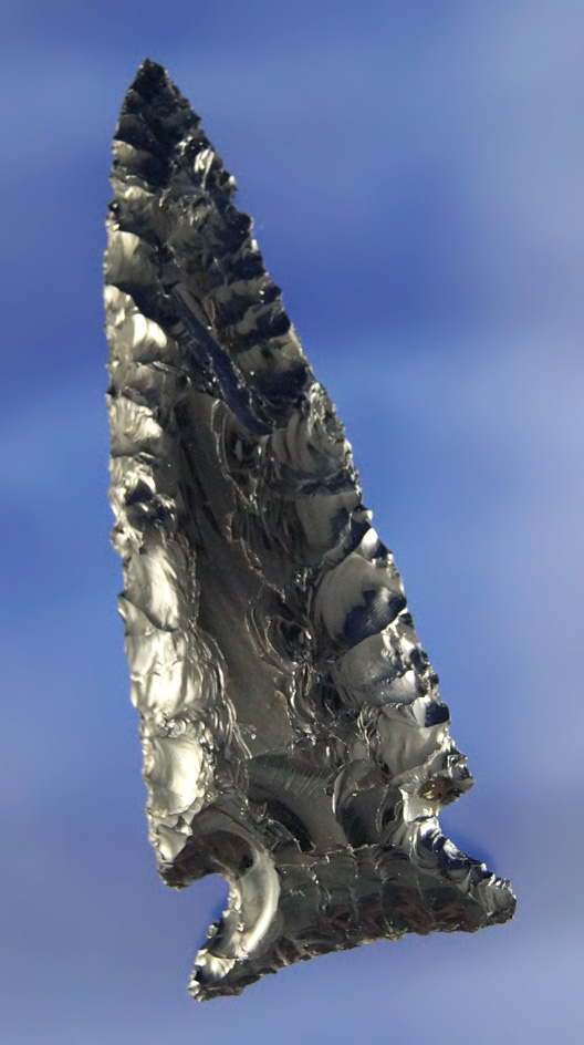 Very attractive 2 15/16" Obsidian Elko corner notched. California.  Stermer COA.