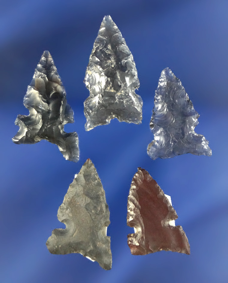Set of five sidenotch arrowheads found by R. D. Mudge in Nevada. Largest is 13/16".