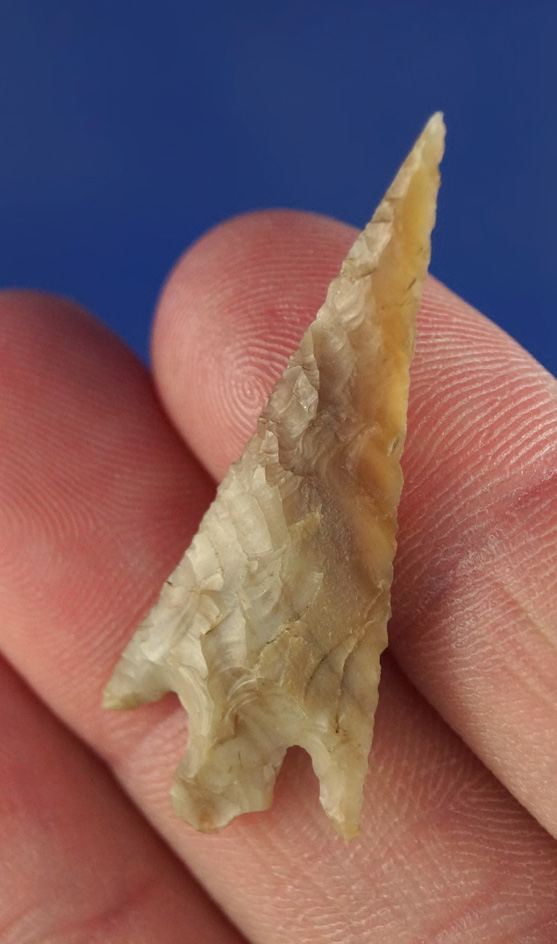 1 7/16" Columbia Plateau found near priest Rapids, Washington near the Columbia River. Thin with nic