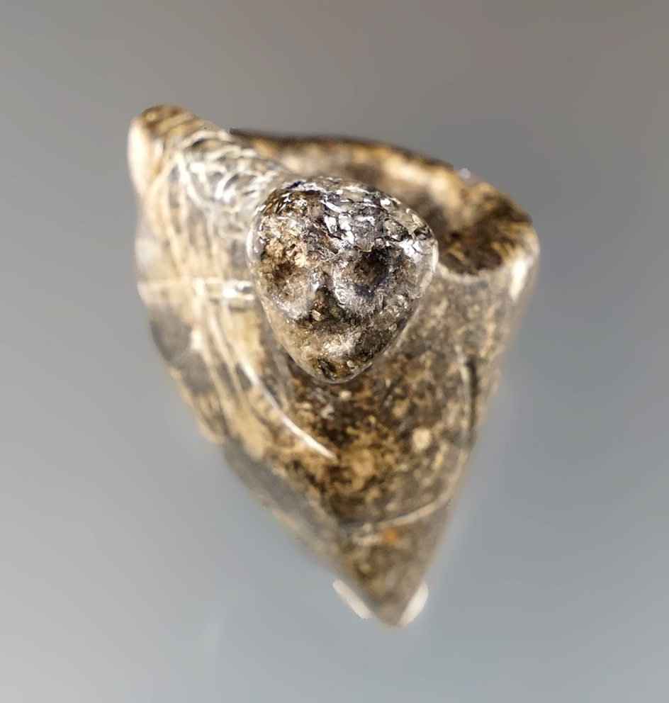 1 3/8" Vasiform Human Effigy Iroquois Stone Pipe found in Middlesex Co., Ontario Canada.