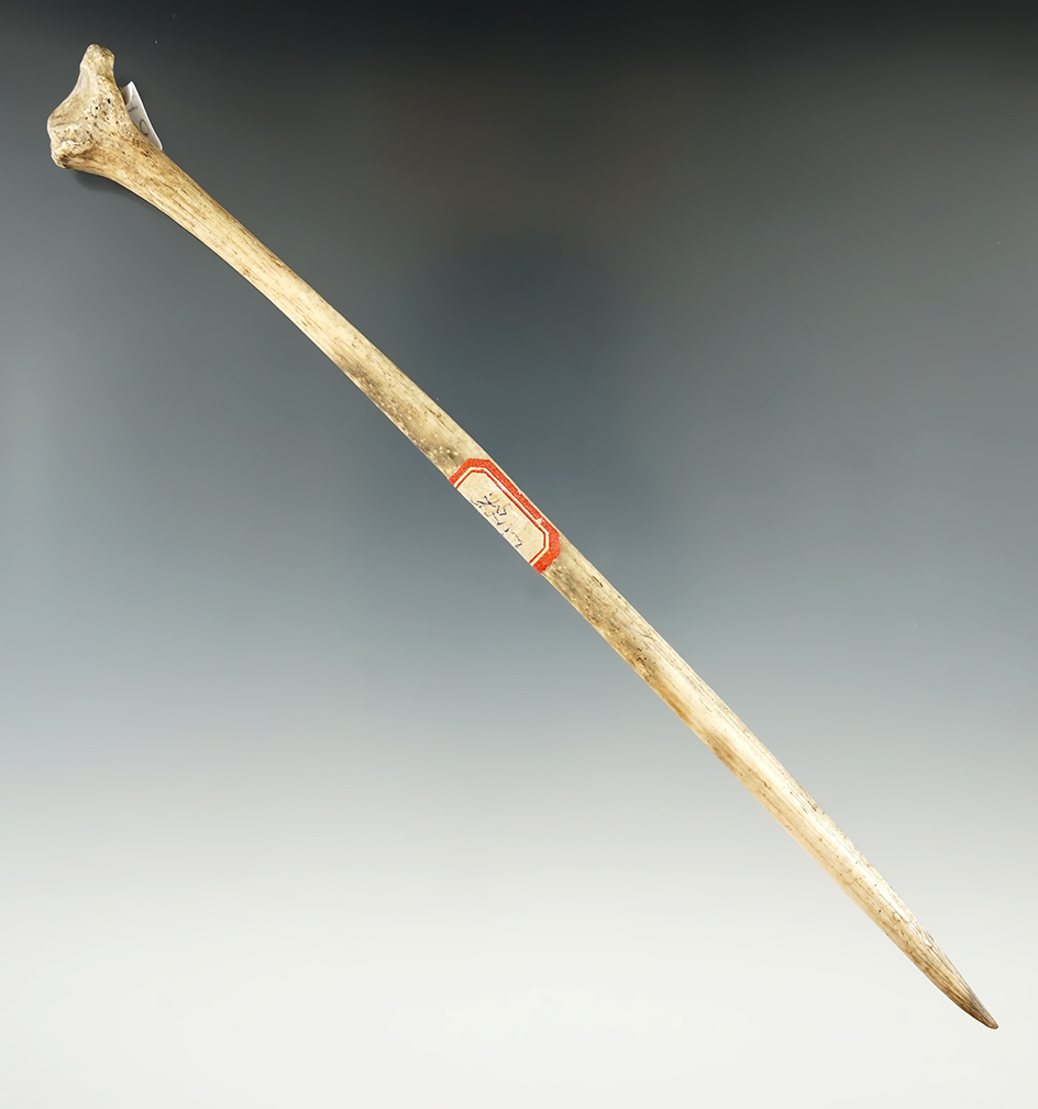 Large 7 5/8" Bone Hairpin or Awl found at the state line site.