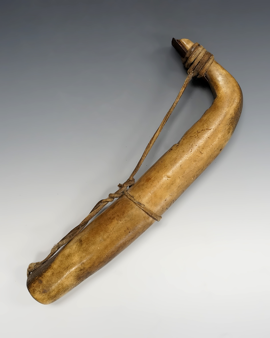 12" Northern Plains Hide Scraper made from Elk Antler. Ex. Johnson. Davis G-10+ COA.