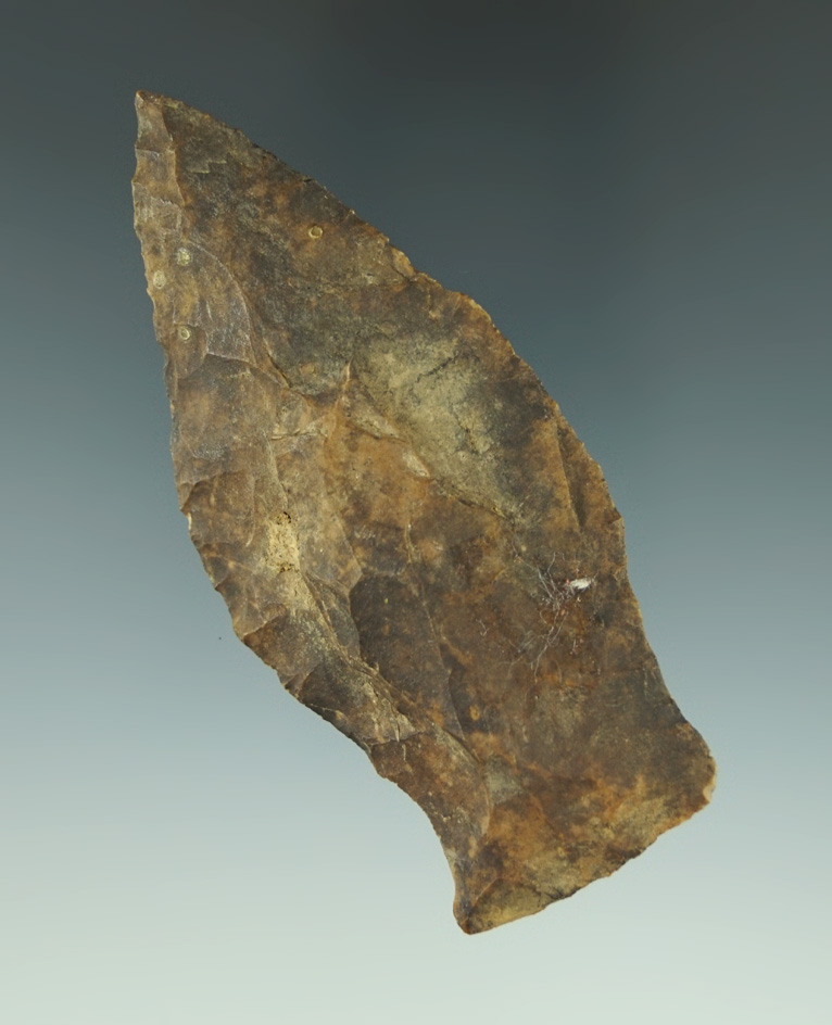 Large River patinated 3 7/16" Copena Classic found in Tennessee. Comes with a Dickey COA.