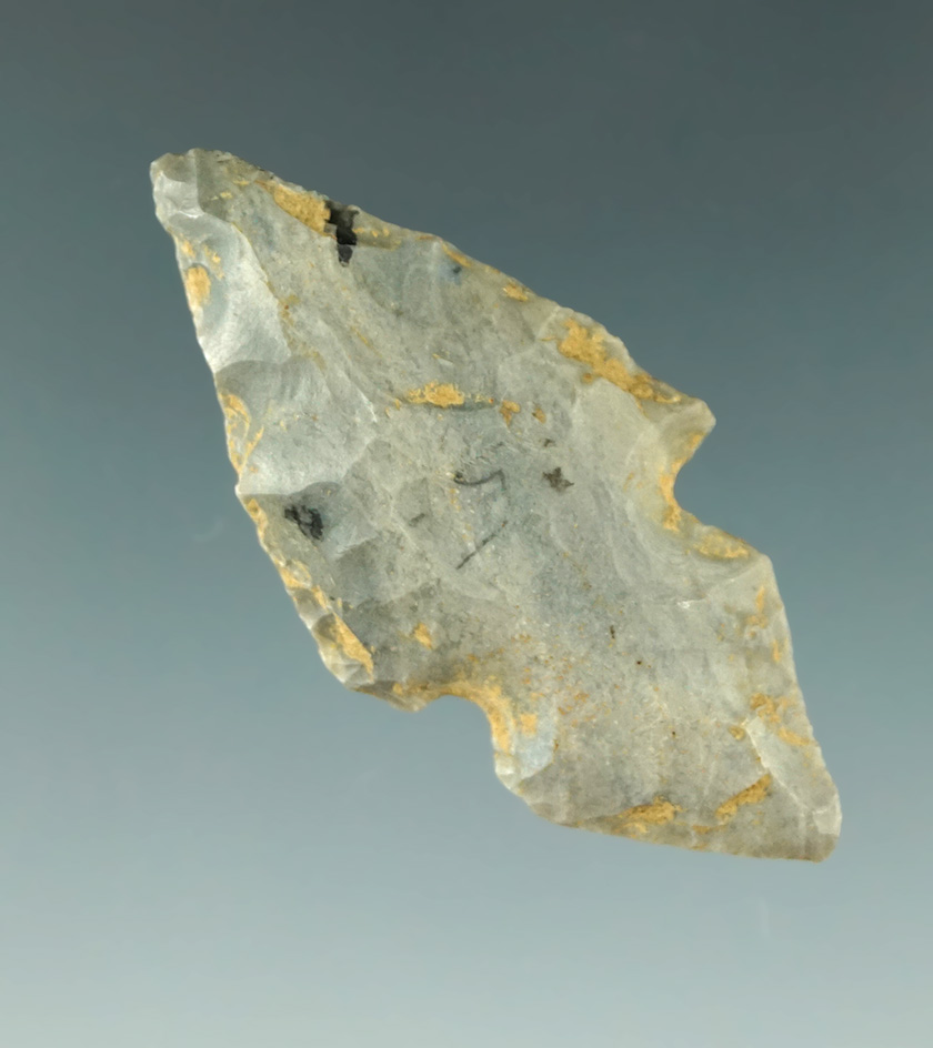 1 7/8" Hornstone Turkeytail found in Tennessee.