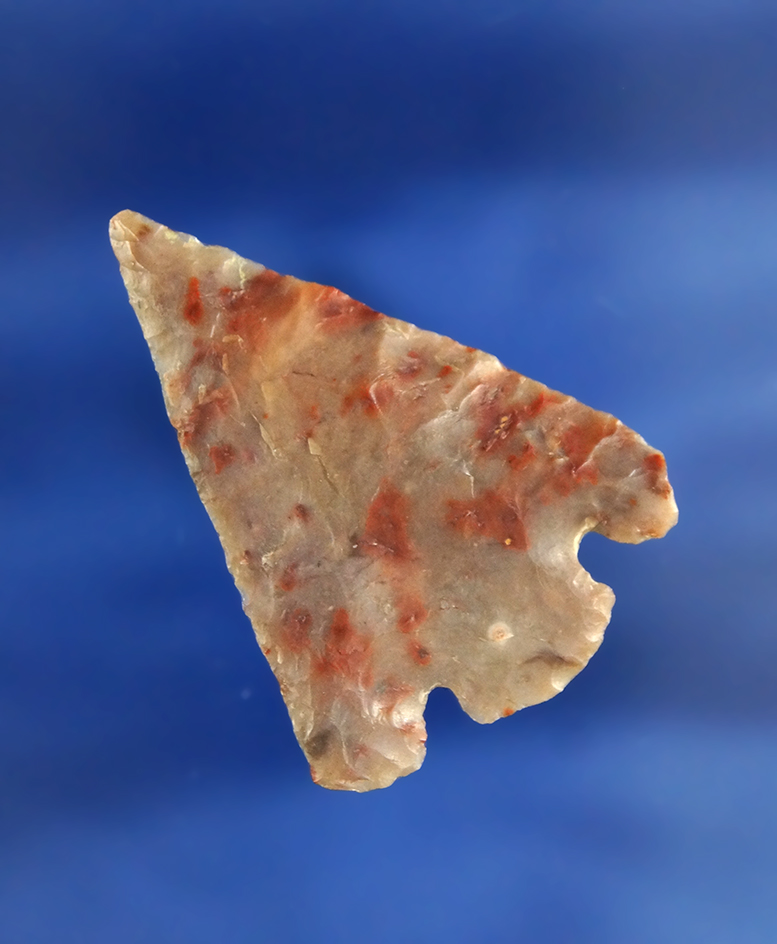 Beautiful! 1 5/8" Quilomene Bar made from attractive red speckled material.  Washington.