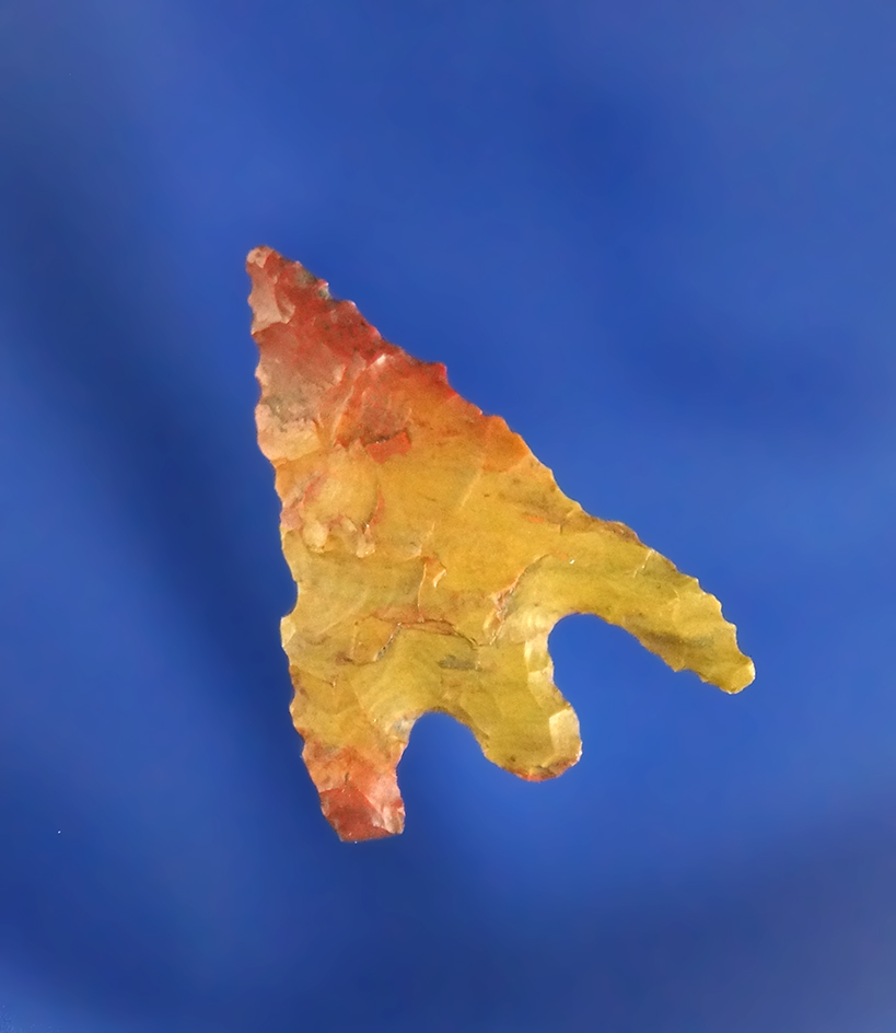 15/16" Columbia Plateau made from red and yellow Jasper, found near the Columbia River, WA.