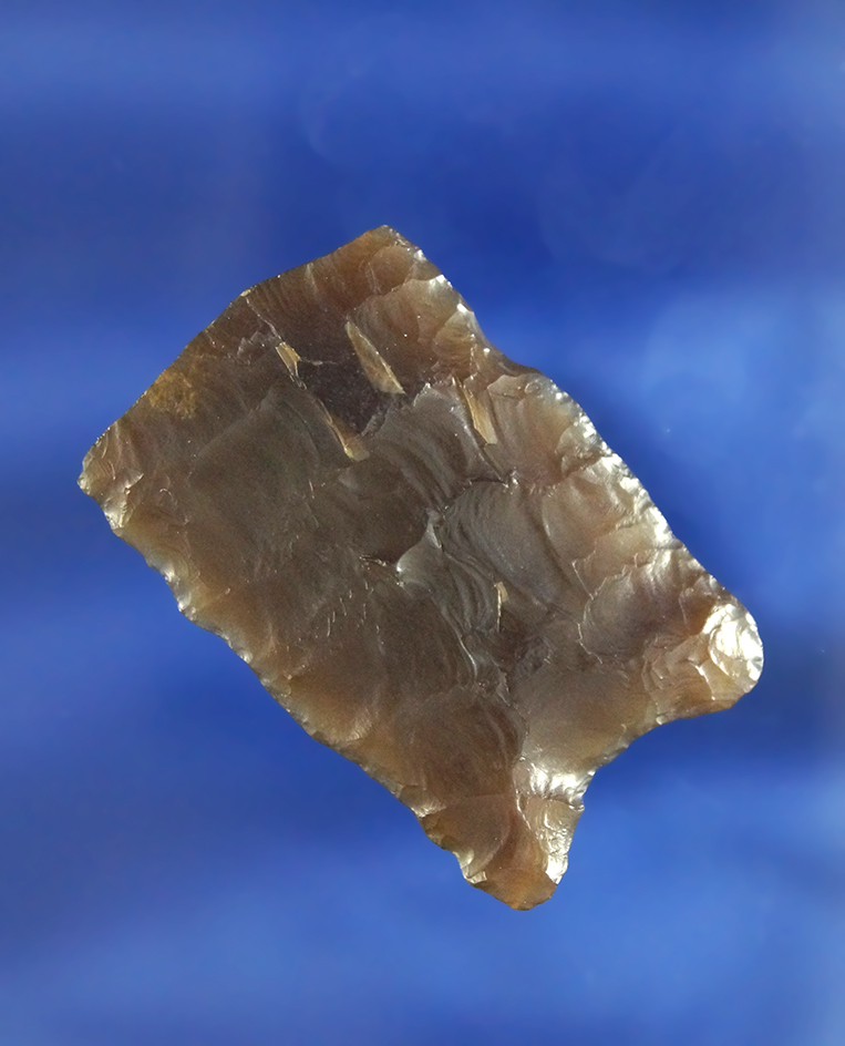 Beautifully translucent material on this 1 5/8" Paleo Base found in Yavapai Co., Arizona.