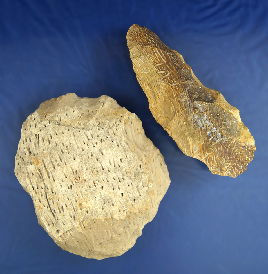 Rare, excellent examples! Pair of petrified Palmwood preforms found in the southwestern U.S.