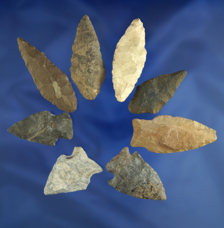 Group of assorted Virginia Arrowheads in good condition, largest is 2".