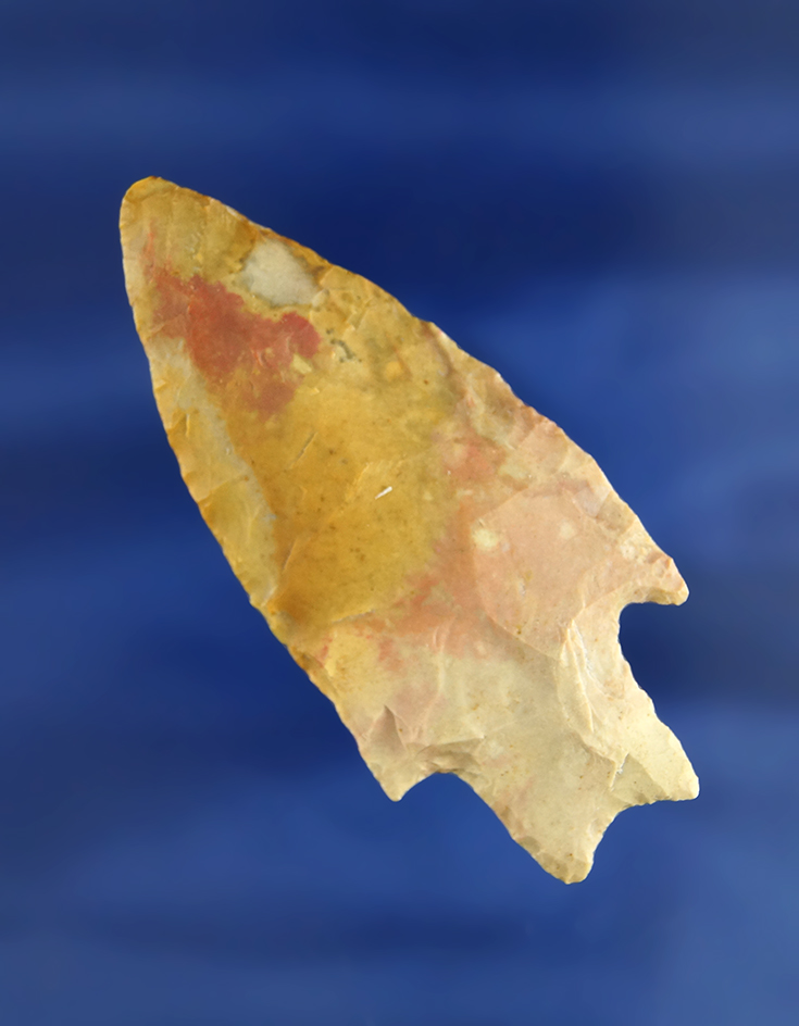 2 3/4" Pedernales point made from beautiful multicolored Alibates Flint found in Texas.