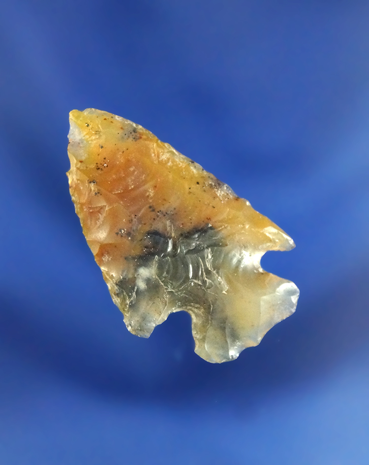 Beautiful translucent material on this 1 7/16" Hells Canyon Corner Notch found near the Columbia Riv