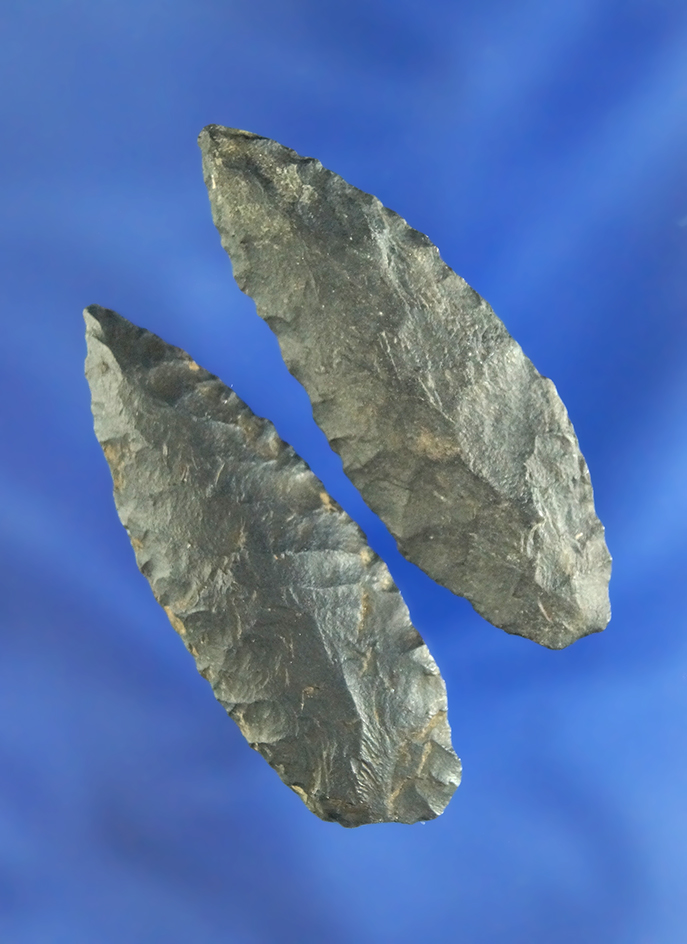 Pair of Leaf Points found in Alaska, largest is 2".