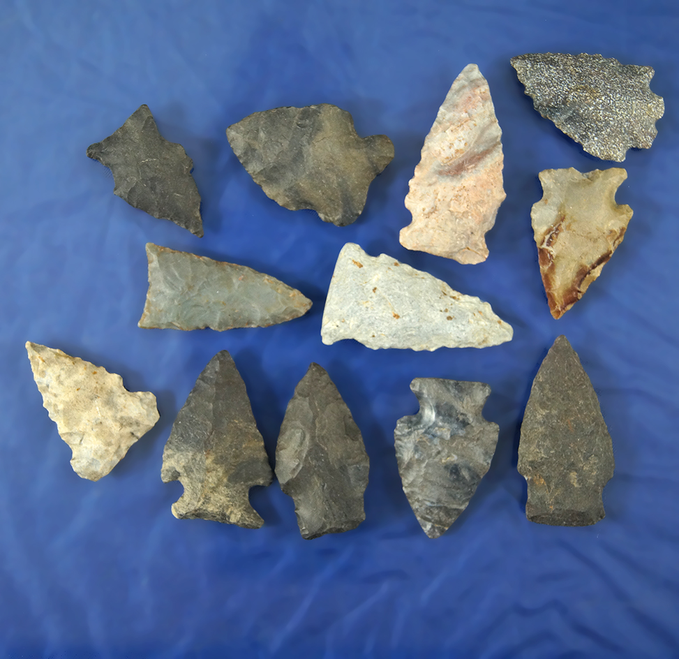 Large group of assorted Arrowheads found in Virginia, largest is 1 1/2".