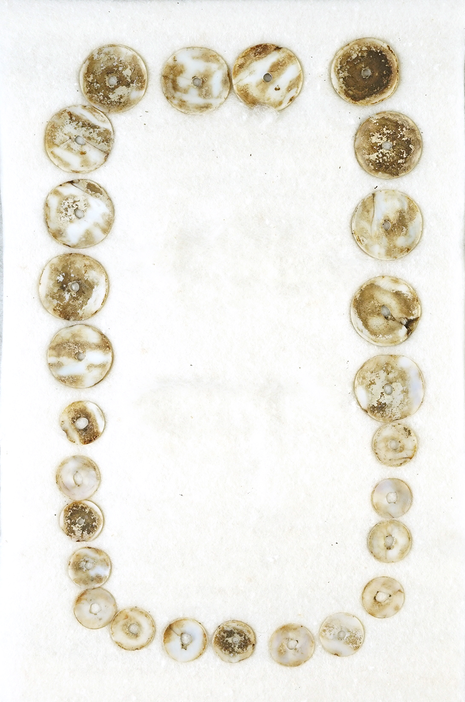 Set of 26 drilled Shell Discs found together as a necklace. Largest discs are 1 1/8". 