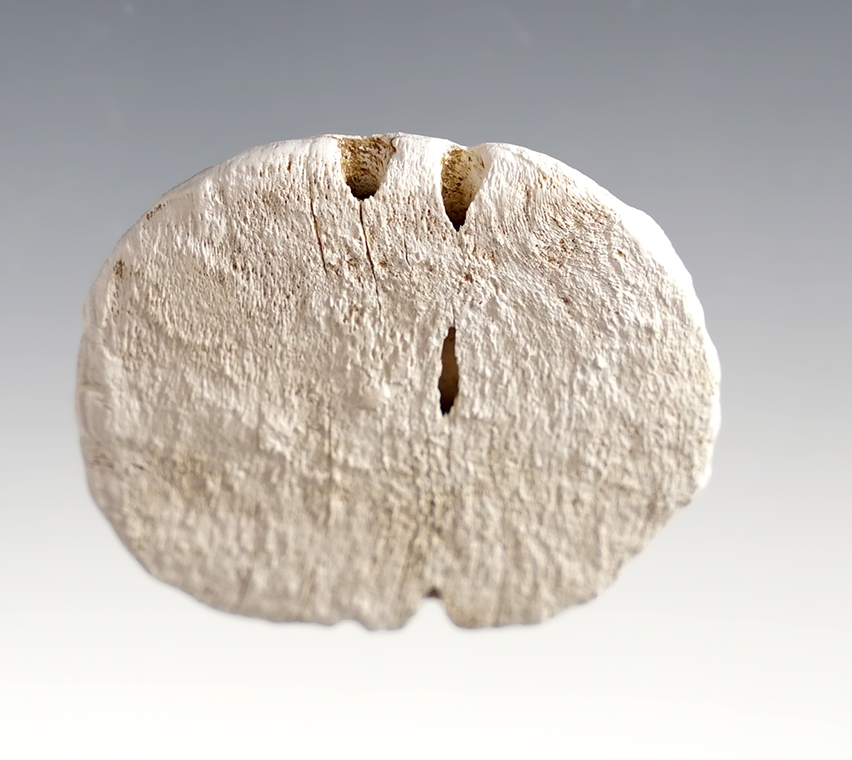 Very rare 1 13/16" Runtee made from shell - Upper Cayuga, Great Gully Site, New York. 