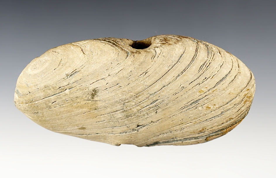 4 5/8" Wing Bannerstone found underwater, Knox Co., Indiana. One spot of restoration. 