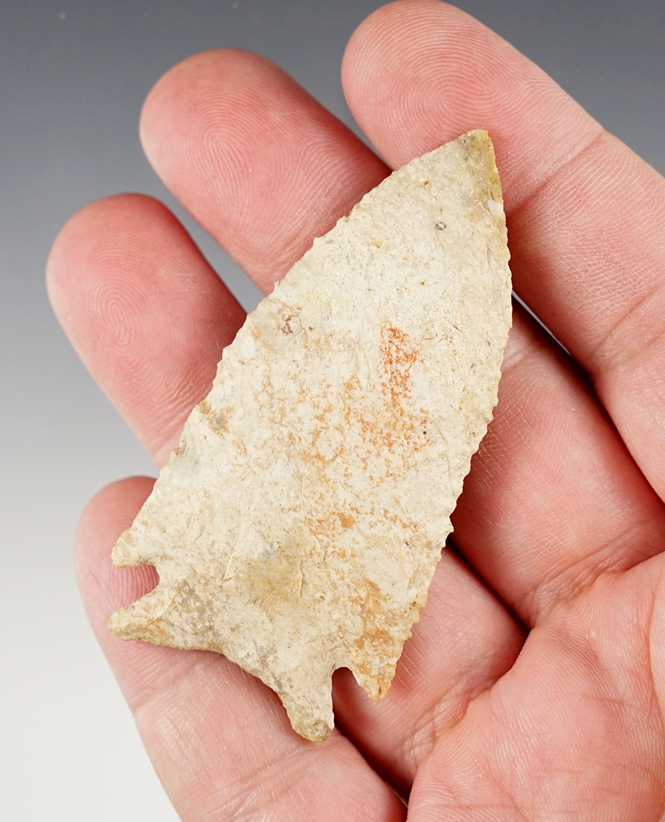 Excellent symmetry on this 2 3/4" Neuberger found in Section 19, SE, Schuyler Co., Illinois. 