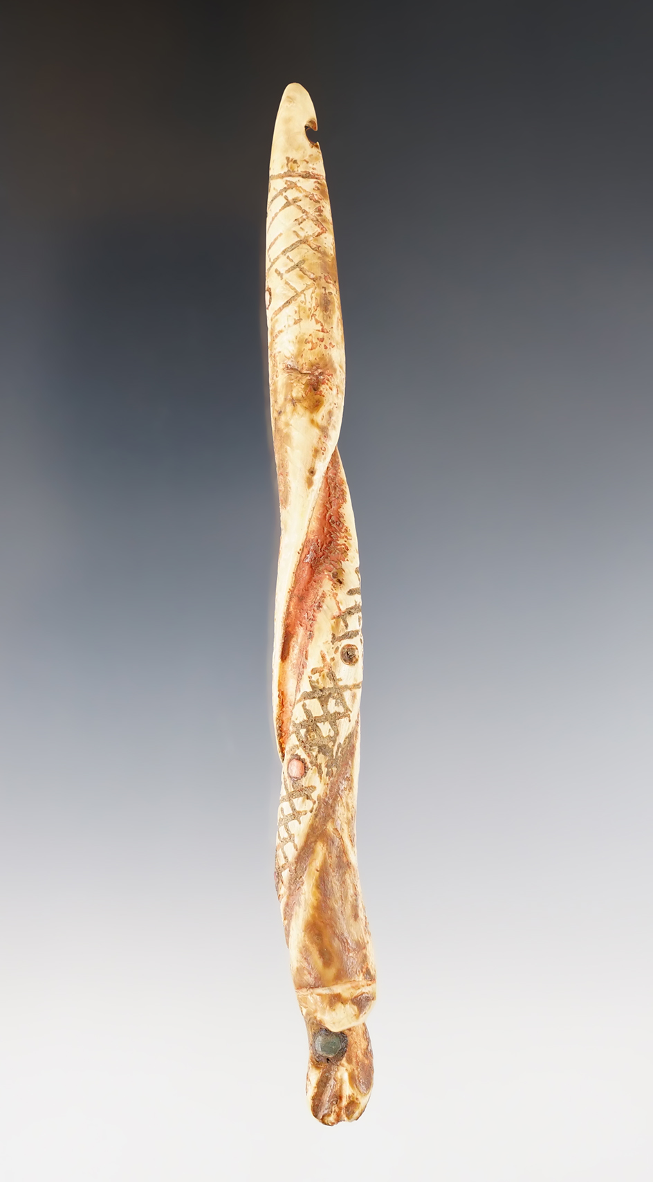 5 5/16" Pre-Columbian Plummet made from Welk Shell. Early Chavin culture, circa 1200 BC.