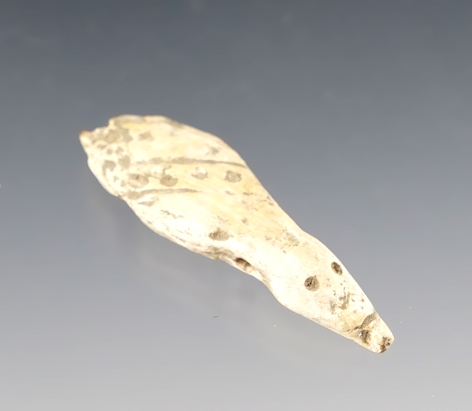 1 1/4" Shell Duck Effigy found at the White Springs Site, Geneva, New York. 