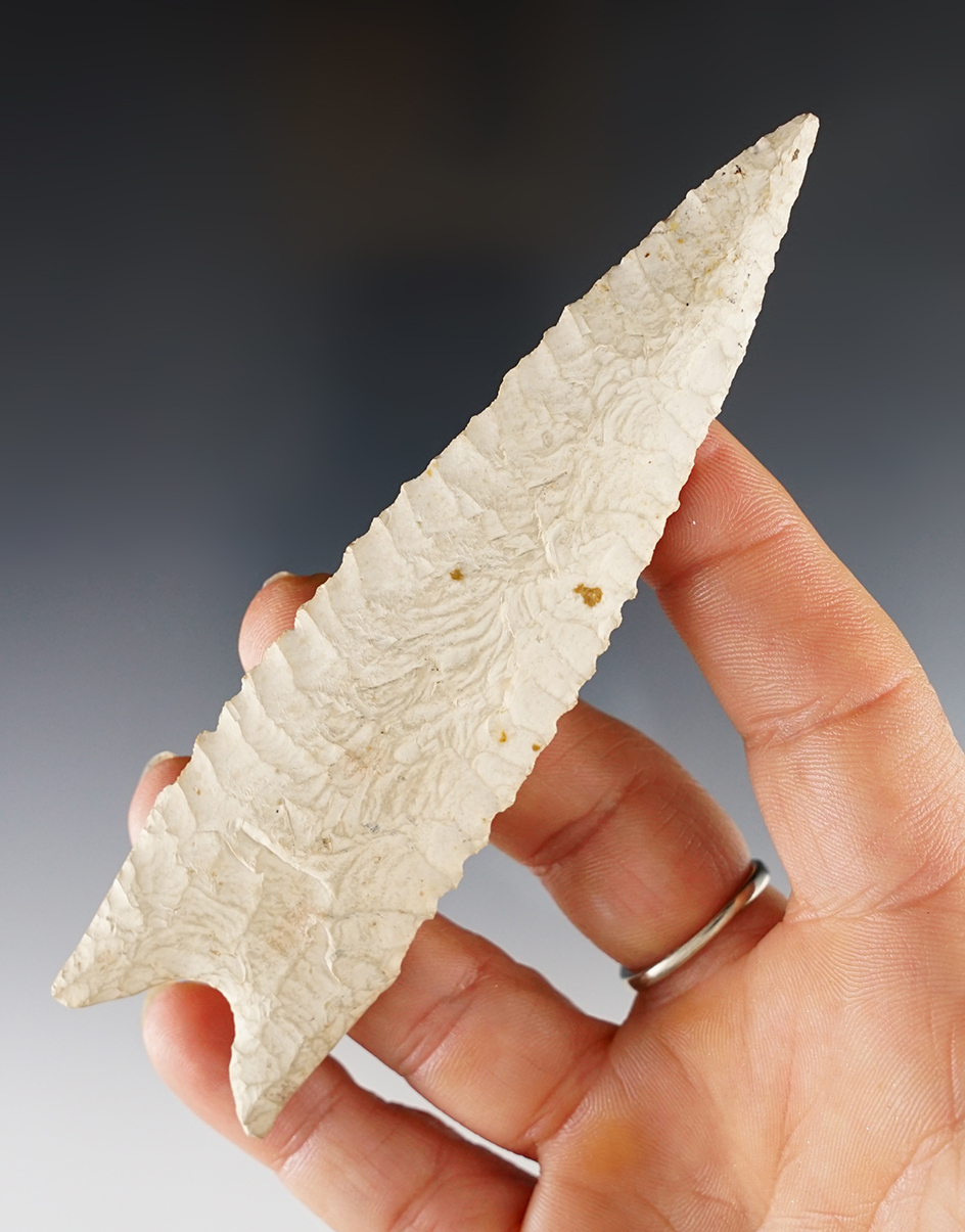 Excellent flaking on this 4 1/16" Dalton made from Burlington Chert, found in Fulton Co., Illinois. 