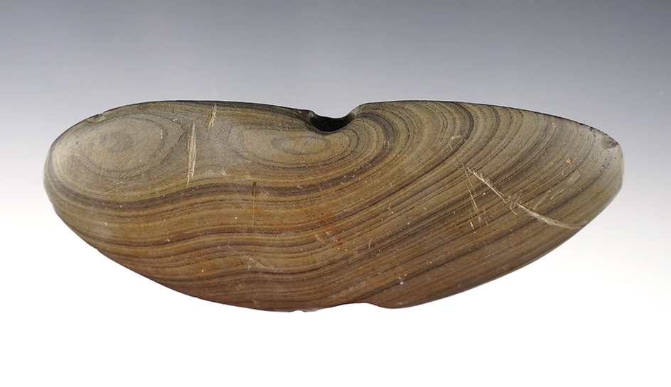 5 5/8" wide Wing Bannerstone made from Banded Slate. Found in Clinton Co., Pennsylvania. 