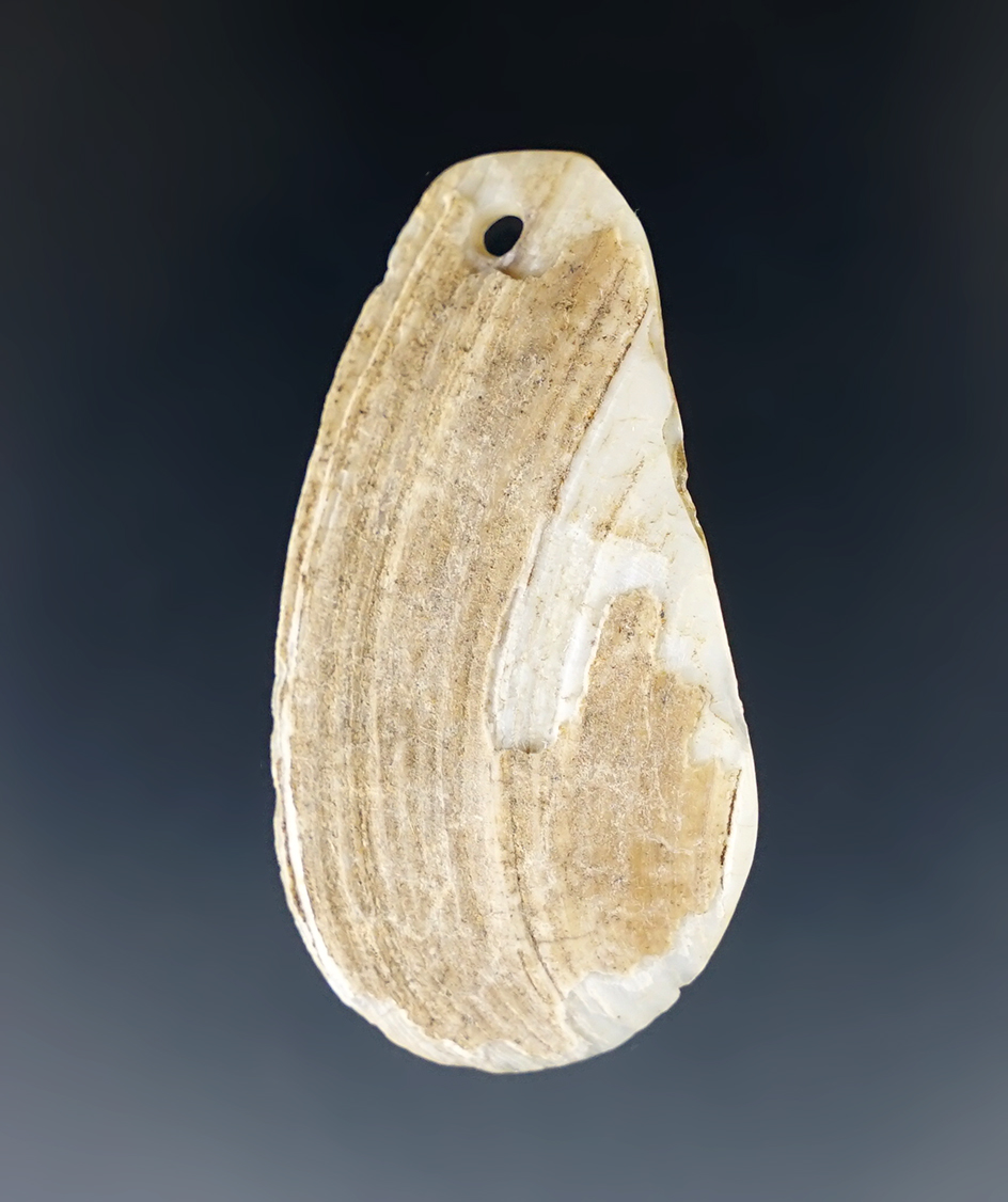 1 5/8" Drilled shell pendant found at Rio Puerco Valley, New Mexico. In very nice condition.