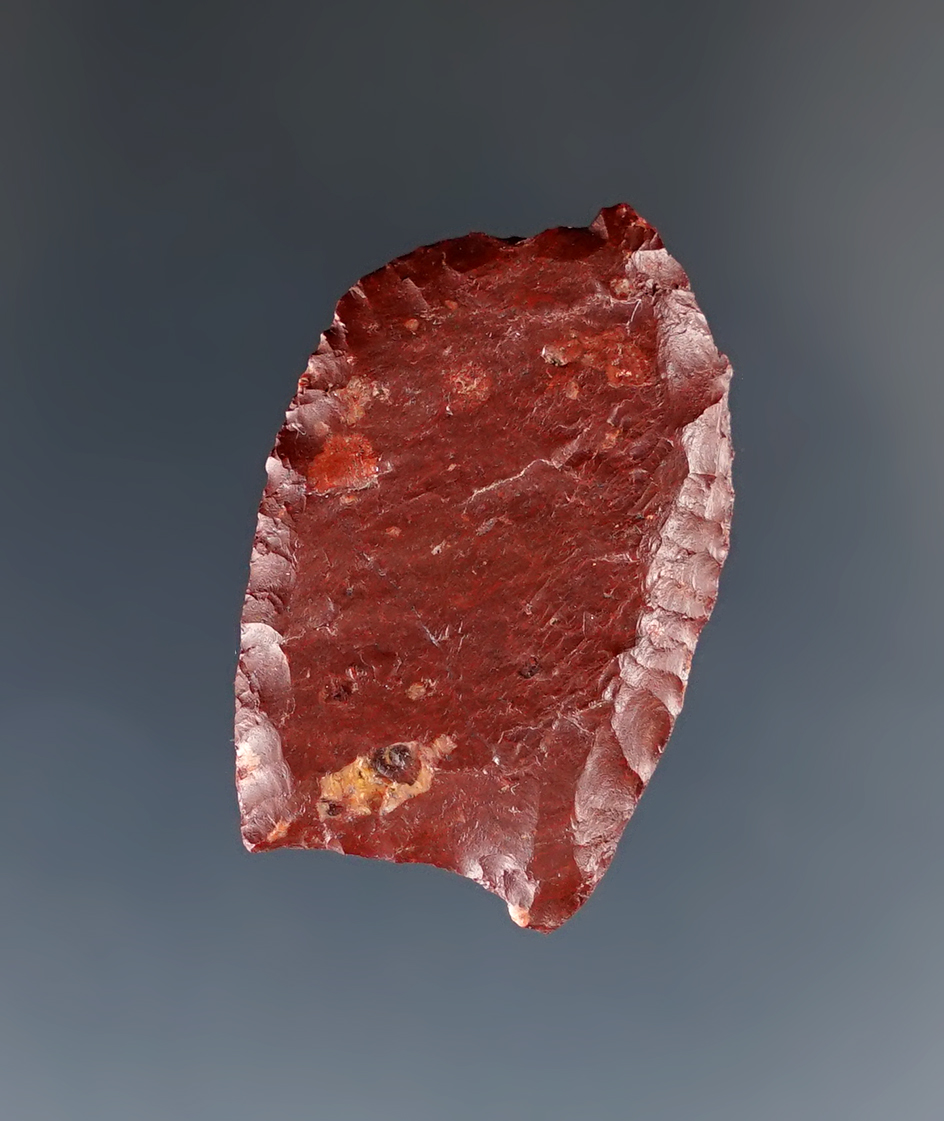 Rare! 1 3/16" Paleo folsom with interesting rework to the tip area. (This is not modern rechipping).