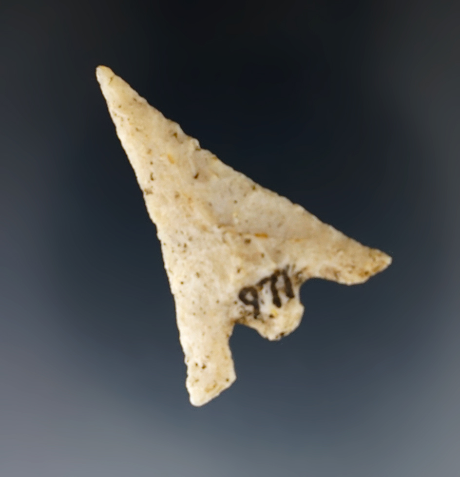 Nicely styled 1 3/4" Hernando found in the vicinity of Micopony, Alachua County Florida.